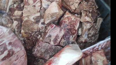 طب بيطري المنوفية: ضبط 75 ألف كيلو لحوم وأسماك ومنتجات فاسدة خلال 5 أشهر 