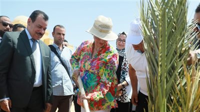 وزارة البيئة: الانتهاء من المرحلة الأولى لمشروع دعم قرى الريف المصري