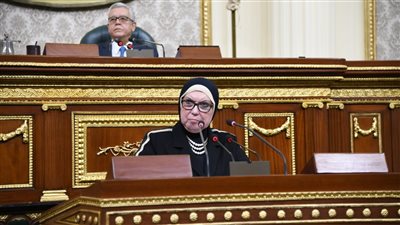 نواب: أداء وزارة الصناعة لا يليق.. وداوود: أين ذهبت مصانع مصر؟