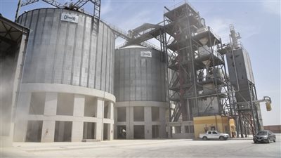 توريد 23.6 ألف طن قمح لصوامع مطروح