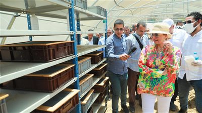 وزيرة البيئة ومحافظ الوادي الجديد يتفقدان عددا من المشروعات البيئية 