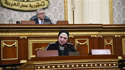 نيفين جامع: تيسيرات غير مسبوقة لتشجيع المستثمرين بالمجمعات الصناعية