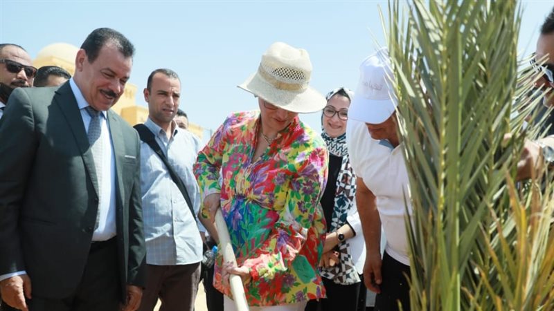 حملة تشجير جامعة