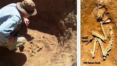 خبراء أثريون يكشفون أقدم حديقة حيوان مدفونة في العالم