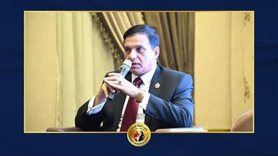 الأمين العام لحزب حماة الوطن: قناة السويس أحد أهم المجاري الملاحية في العالم