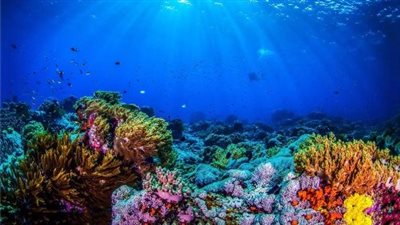 علماء يتمكنون من سماع 