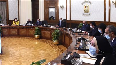 مدبولي يكلف بإعداد تصور متكامل لإجمالي تدفقات العملة الصعبة إلى مصر