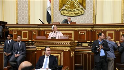 هجوم برلماني على ياسمين فؤاد.. ونائب: 