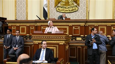 وزيرة البيئة: تغير المناخ يهدد التنمية.. وميزات جديدة لصناعة بدائل أكياس البلاستيك 