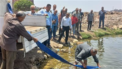 إلقاء 500 ألف زريعة من سمك البلطي بنيل الدقهلية| صور 