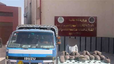 حبس 2 من العناصر الإجرامية لحيازتهما مخدرات بـ5.7 مليون جنيه