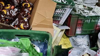 ضبط طن أسماك وأغذية فاسدة في الدقهلية