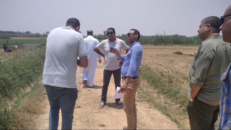لجان استلام القمح