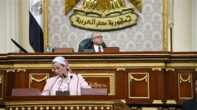 وزيرة البيئة: نتبع سياسة تحفيزية لتشجيع المصانع على التوافق البيئي