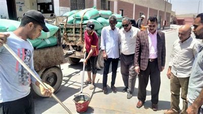 محافظ سوهاج: توريد 85 ألف طن أقماح للشون والصوامع حتى الآن 