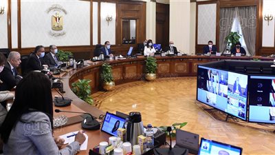 رئيس الوزراء: توطين صناعة الدواء أولوية قصوى للدولة المصرية