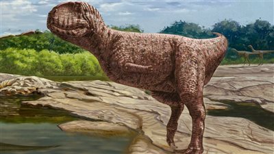 عاش في مصر قبل 98 مليون سنة.. اكتشاف حفريات ديناصور مفترس بالواحات البحرية | صور 