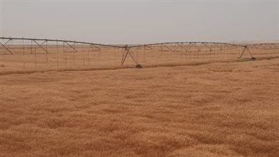 وزير قطاع الأعمال يتابع آخر تطورات شركة جنوب الوادي وفرص الشراكة