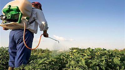 الزراعة تعلن اعتماد 35 مبيدا جديدا لمكافحة الآفات