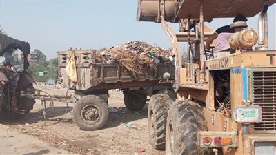 حملات نظافة وصيانة ورصف بشوارع الدقهلية | صور