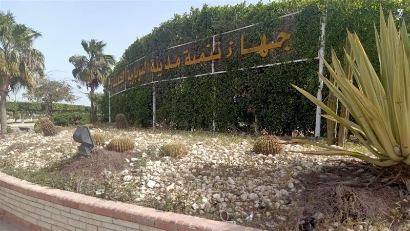 النوبارية الجديدة،