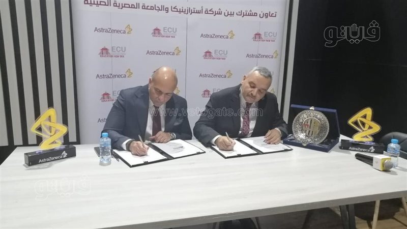 الجامعة المصرية الصينية