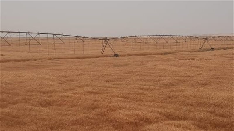 المشروعات الحديثة