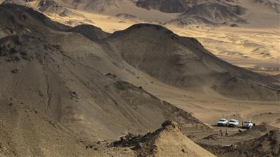 عمره 98 مليون سنة.. البيئة تعلن تفاصيل اكتشاف حفرية ديناصور جديد بالواحات البحرية| صور