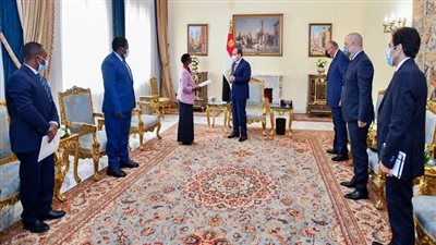  السيسي يشيد بقوة الدفع التي تشهدها العلاقات المصرية التنزانية