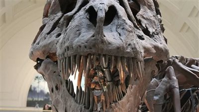  اكتشاف أضخم كائن مفترس في أوروبا