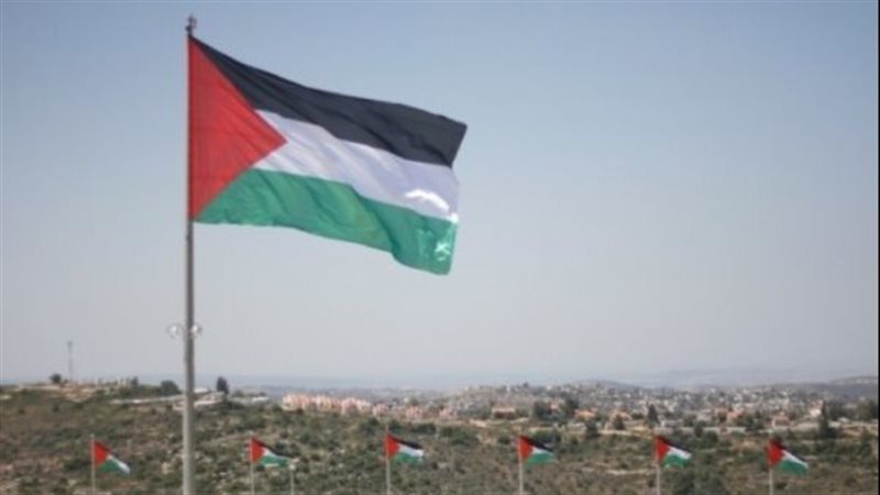قطاع غزة - فلسطين