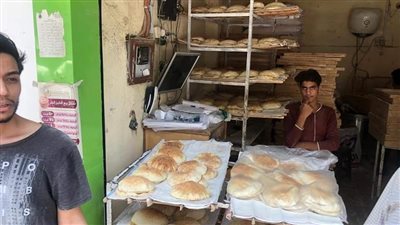 تحرير 66 محضرا لمخابز لعدم الالتزام بالوزن المحدد بالدقي |صور