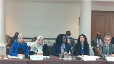 مصر تشارك في الاجتماع الوزاري لـ 