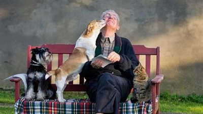 دراسة تكشف سر جين الوفاء لدى الكلاب 