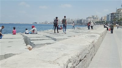 حالة الطقس غدا السبت 11-6-2022 في الإسكندرية 