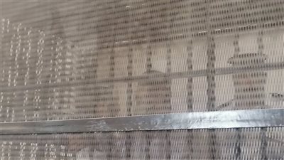 الإعدام شنقا لقاتل كاهن الإسكندرية | فيديو 