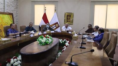 محافظ الوادي الجديد يبحث تقنين زراعات محصول الأرز