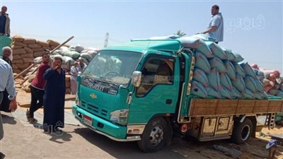 الشرطة تصادر 22 طن قمح وتحرر 17 محضر امتناع عن التوريد 