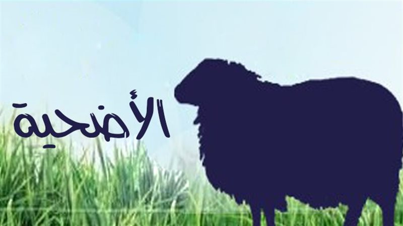 أحكام الأضحية 