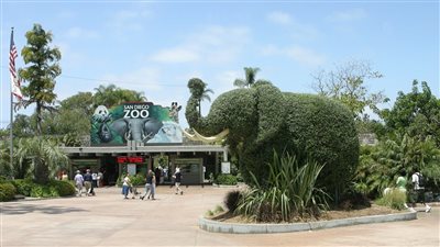 على غرار أفلام المستذئبين.. مخلوق غامض يثير الرعب في تكساس | فيديو