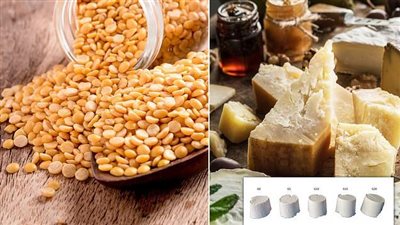 جبن من البازلاء الصفراء.. ابتكار جديد من الدنمارك | صور 