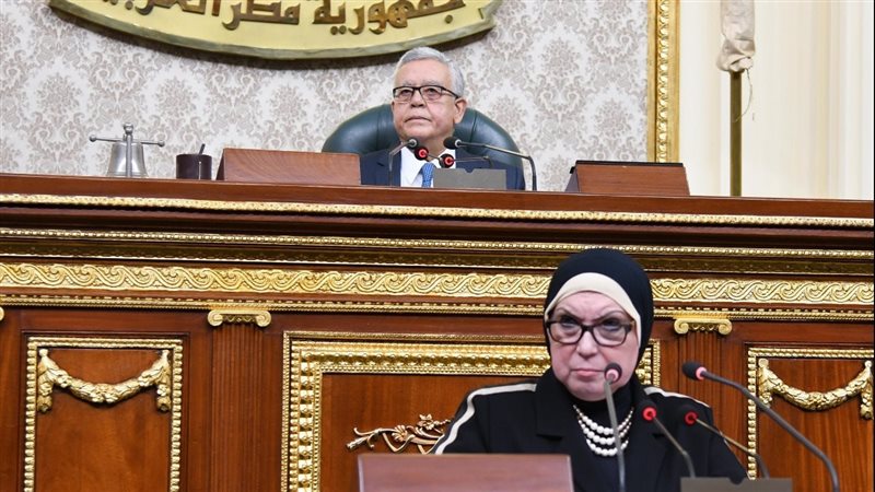 نيفين جامع وزيرة
