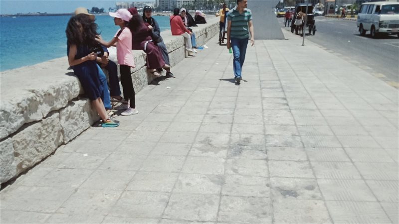 الاسكندريه