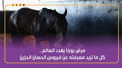 مرض بورنا يهدد العالم.. كل ما تريد معرفته عن فيروس الحصان الحزين | فيديوجراف