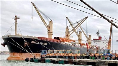 غرق سفينة سودانية محملة بالأغنام في طريقها إلى السعودية 