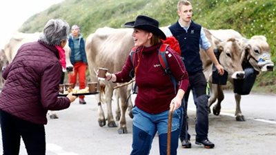 في إسبانيا.. مدرسة لرعاة البقر في القرن الـ21