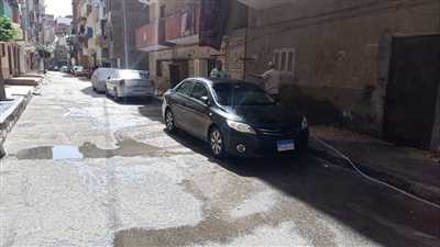 الإسماعيلية تنفذ خطة لعدم إهدار المياه | صور