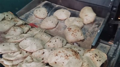 إحالة 27 محضر مخالفات للمخابز بالدقهلية إلى النيابة العامة