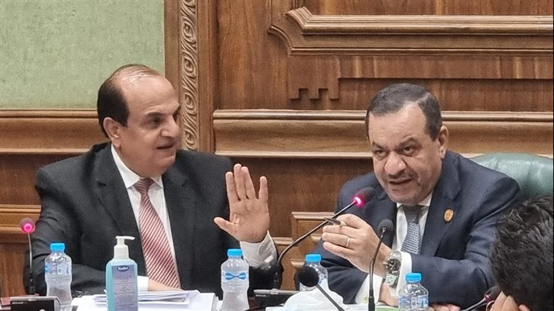 لجنة الزراعة والرى