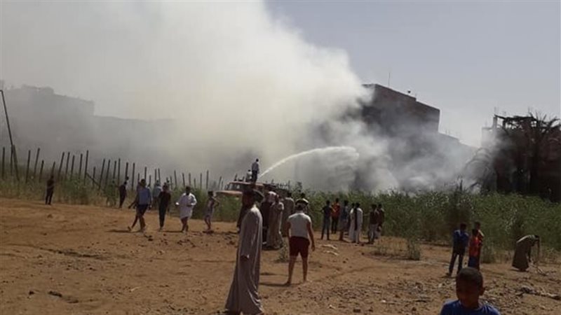 ارشيفية
